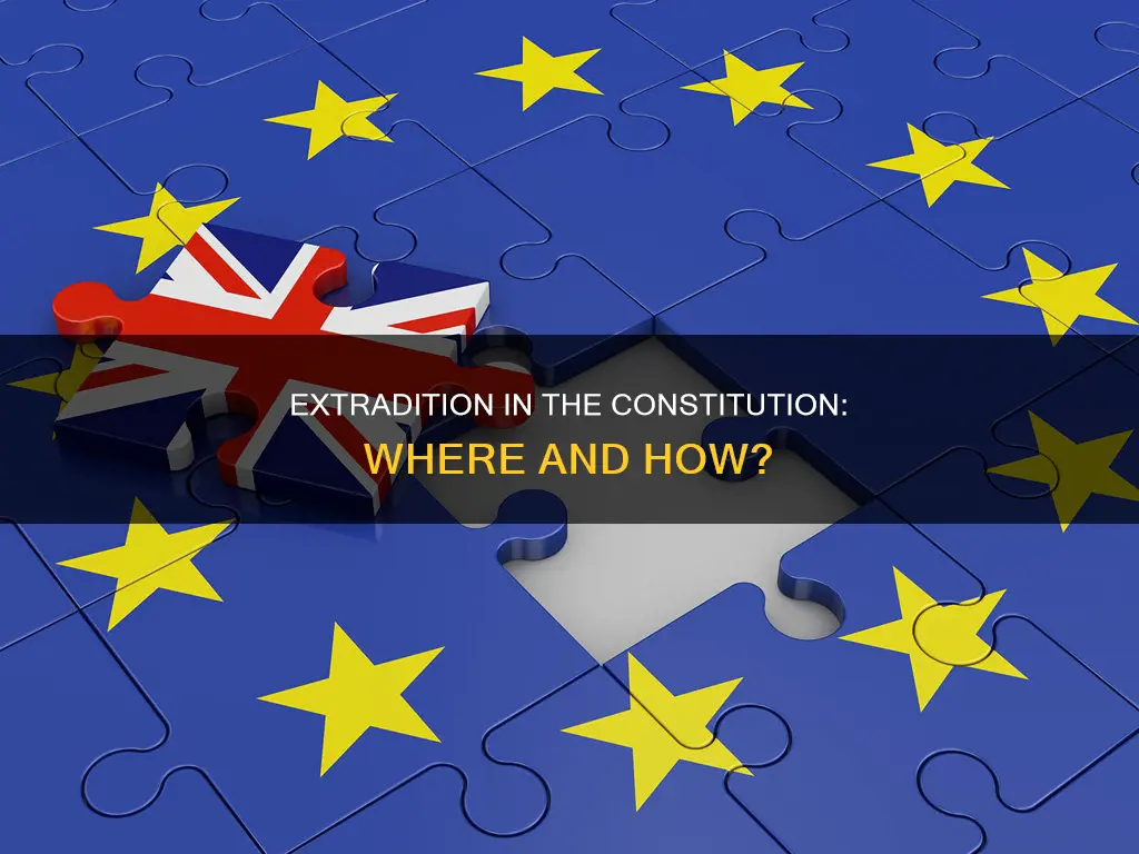 where would you find extradition in the constitution