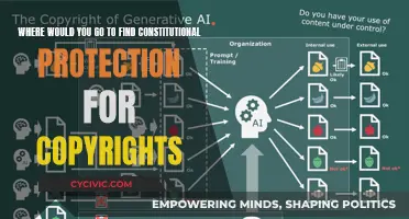 Copyright Protection: Where to Find Constitutional Safeguards?