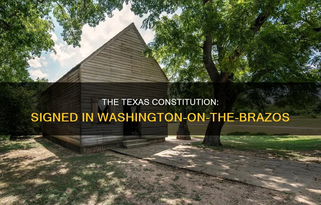 where wsa the constitution of texas signed