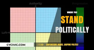 Understanding Your Political Compass: Where Do You Stand?