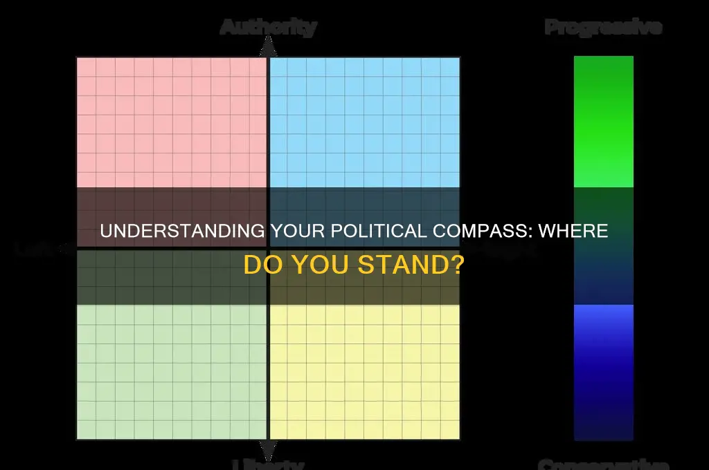 where you stand politically