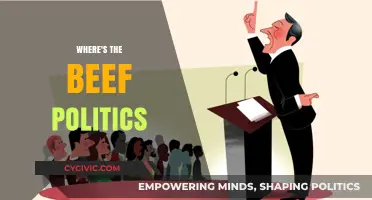 Where's the Beef in Politics? Uncovering Empty Promises and Policy Substance