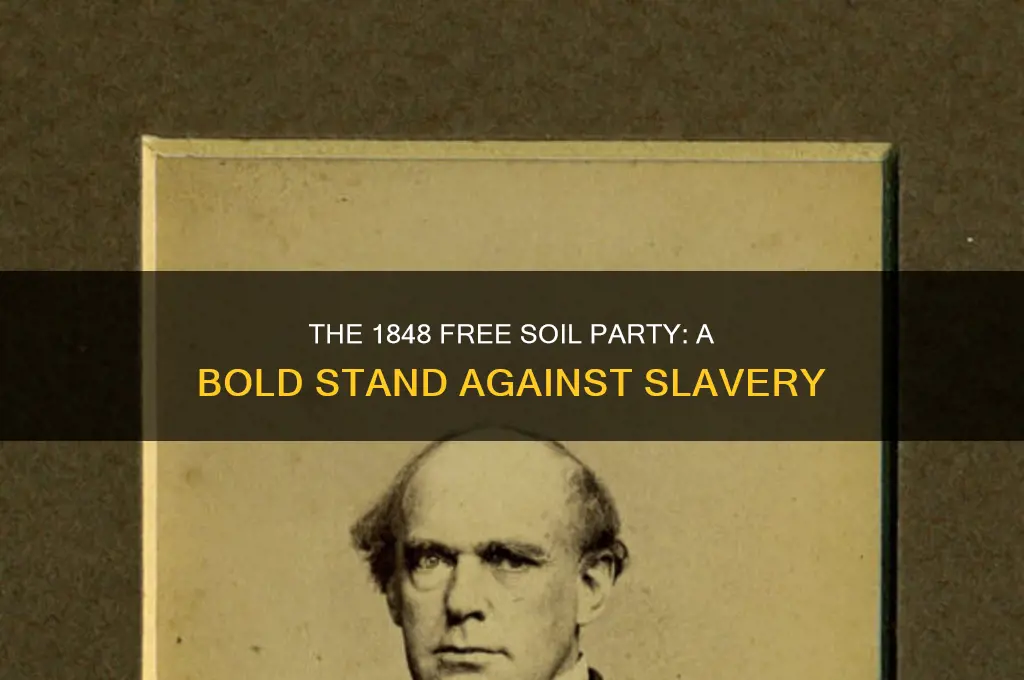 which 1848 political party was openly against slavery