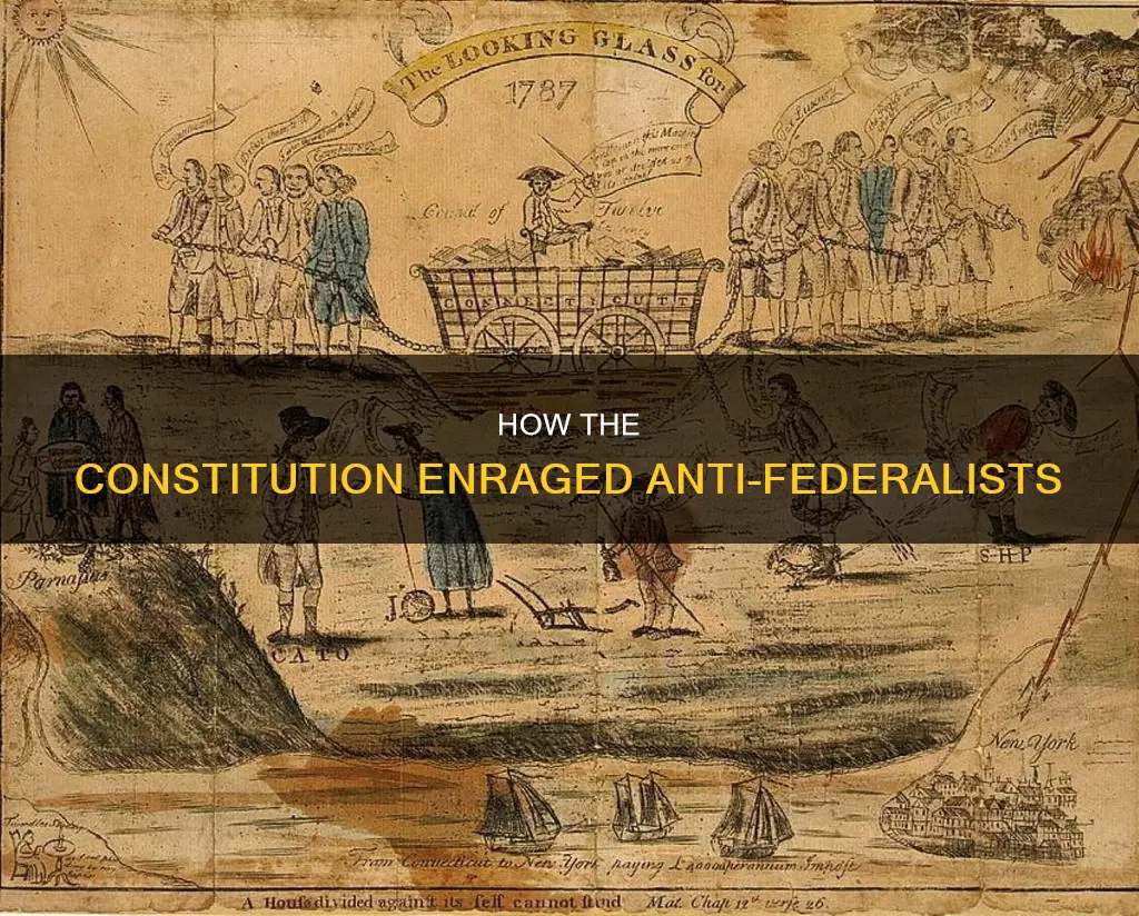 which 2 things about the constitution most angered anti-federalists