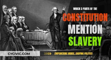 Slavery's Dark Legacy in the Constitution's Three-Pronged Mention