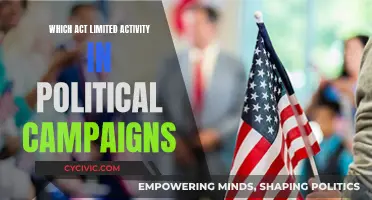Political Campaign Activity Limitations: The Act Explained