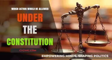 What the Constitution Allows: Actions Explored