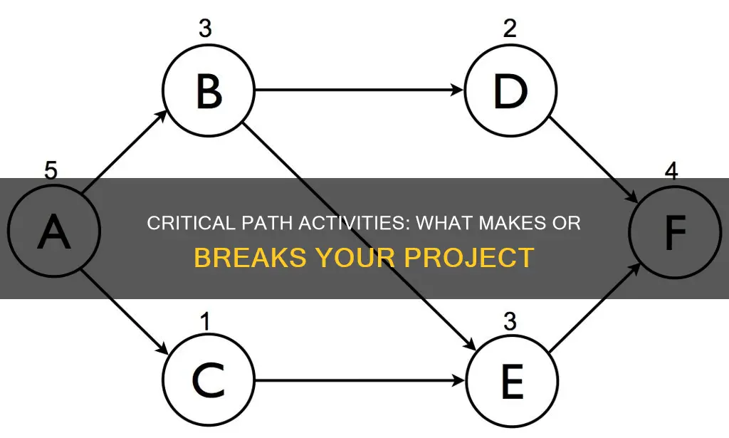 which activities constitute the critical path for this project network