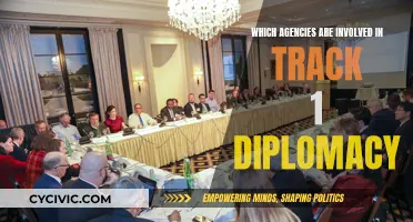 Who Runs Track 1 Diplomacy? Agencies Involved