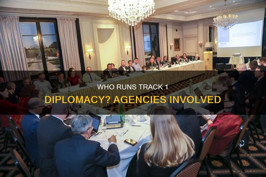 which agencies are involved in track 1 diplomacy
