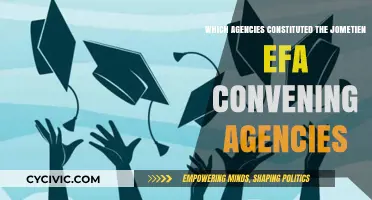 Jomtien EFA Convening Agencies: Who Were They?