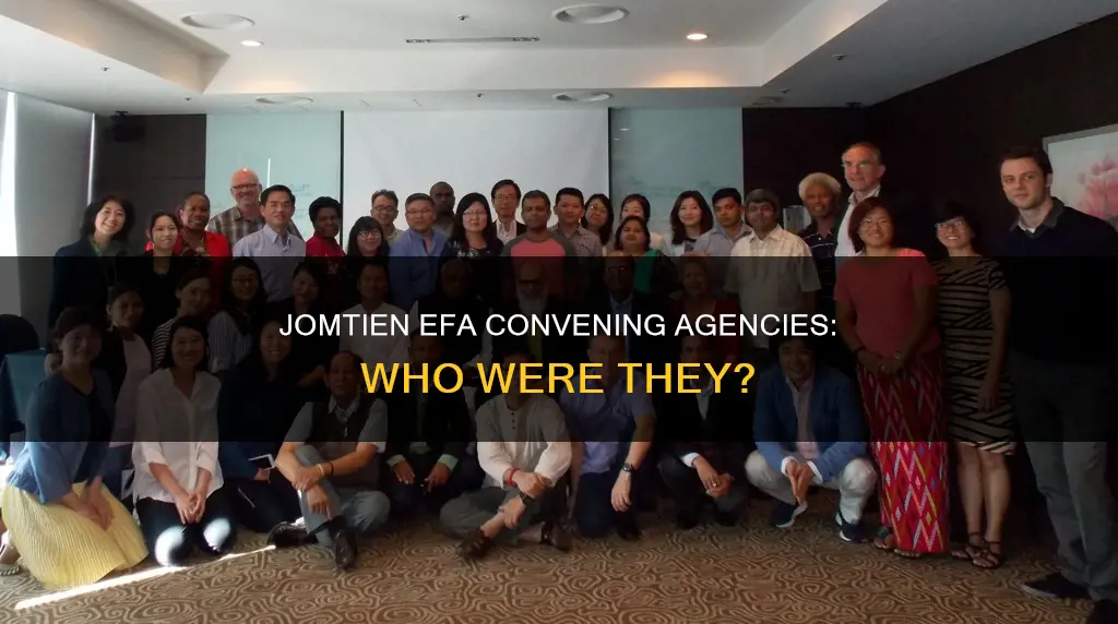 which agencies constituted the jometien efa convening agencies
