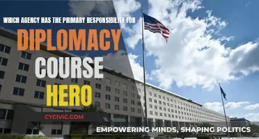Diplomacy's Primary Agency: Course Hero's Insight