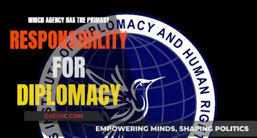 Diplomacy and Foreign Relations: Who Leads the Charge?