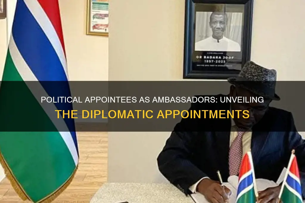 which ambassadors are political appointees