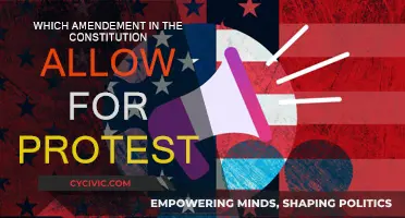 The First Amendment: Our Right to Protest