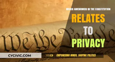 Privacy Rights: Constitutional Amendments Explained