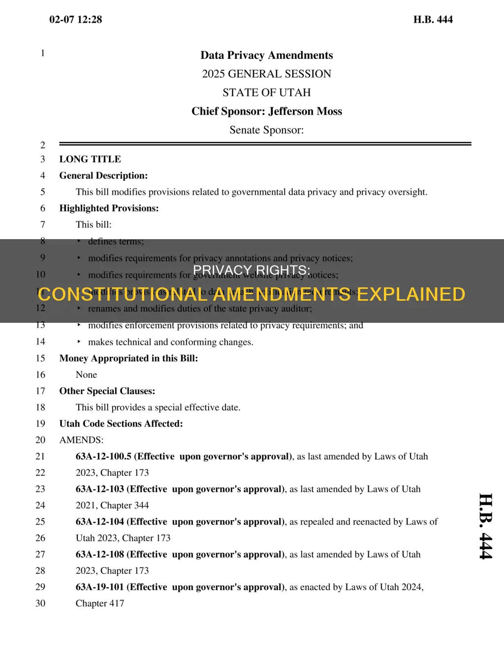 which amendmen in the constitution relates to privacy