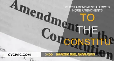Amendments Enabling Amendments: Constitutional Evolution