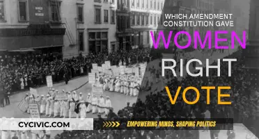Women's Suffrage: Constitutional Amendment for Voting Rights