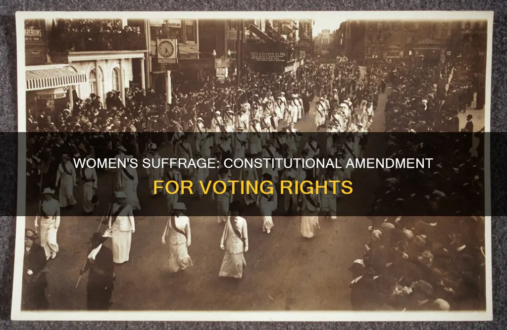 which amendment constitution gave women right vote