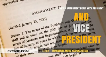 Presidential and Vice Presidential Amendments