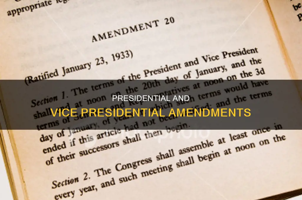 which amendment deals with president and vice president