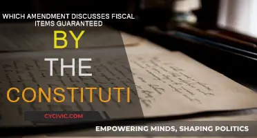 The Constitution's Fiscal Amendments: What's Guaranteed?