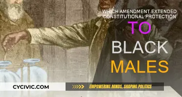 The Amendment That Extended Rights to Black Males