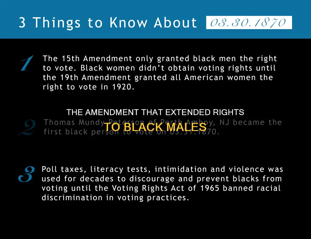 which amendment extended constitutional protection to black males
