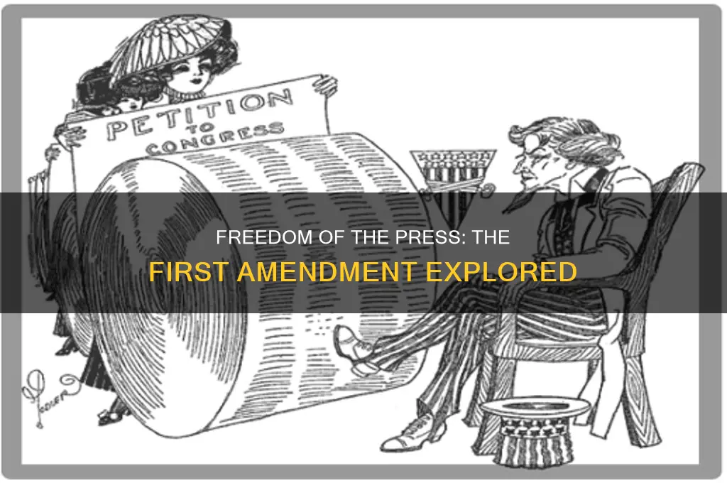 which amendment governs freedom of press