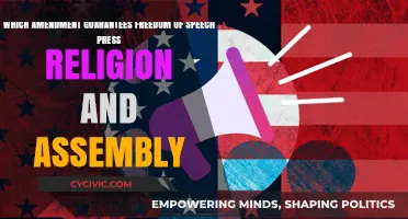 First Amendment: Our Fundamental Freedoms