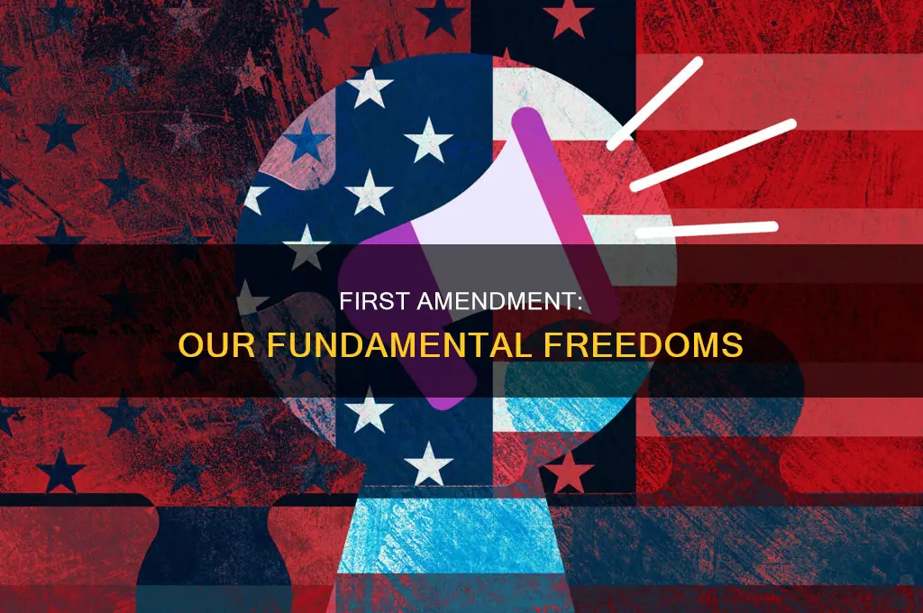 which amendment guarantees freedom of speech press religion and assembly