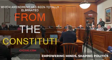 The Lost Amendment: What Was Removed From the Constitution