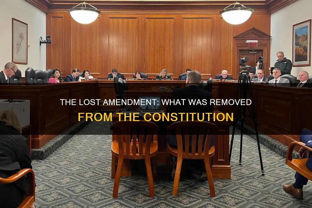 which amendment has been totally eliminated from the constitution