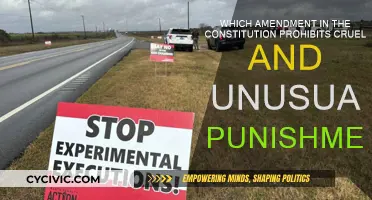 The Eighth Amendment: Protecting Us from Cruel Punishment