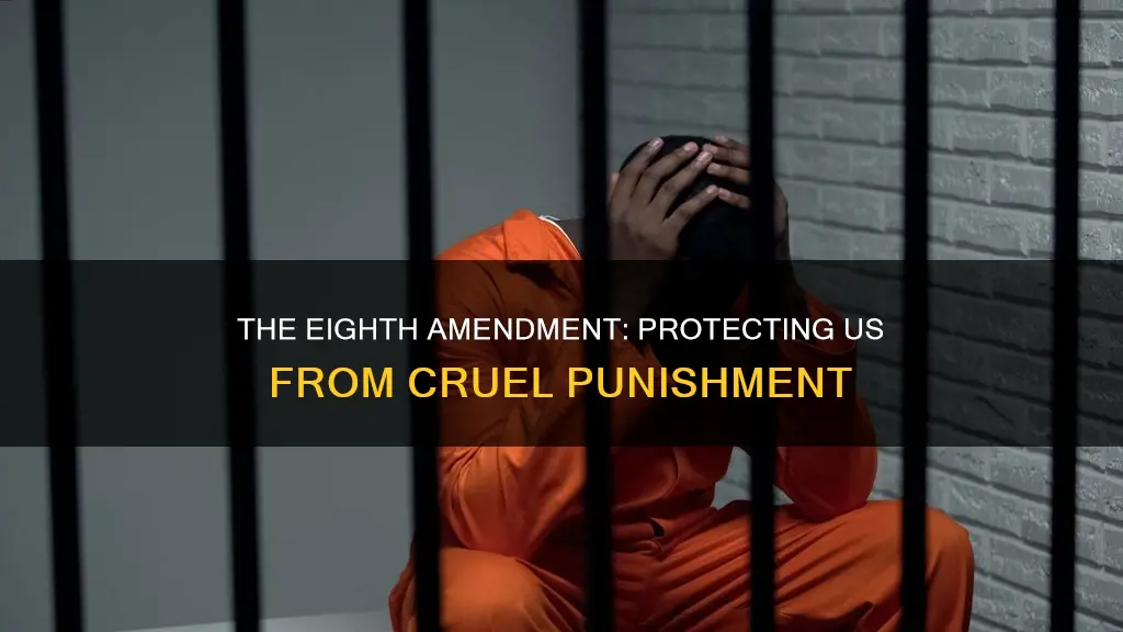 which amendment in the constitution prohibits cruel and unusual punishment