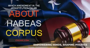 The Constitution's Habeas Corpus Amendment