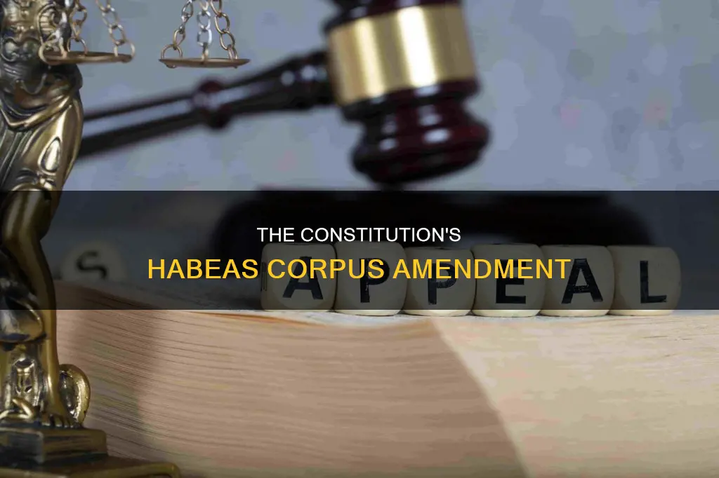 which amendment in the constitution talks about habeas corpus