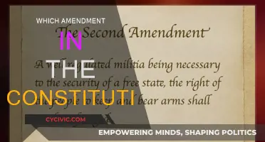 Amendments: Our Constitution's Living Legacy
