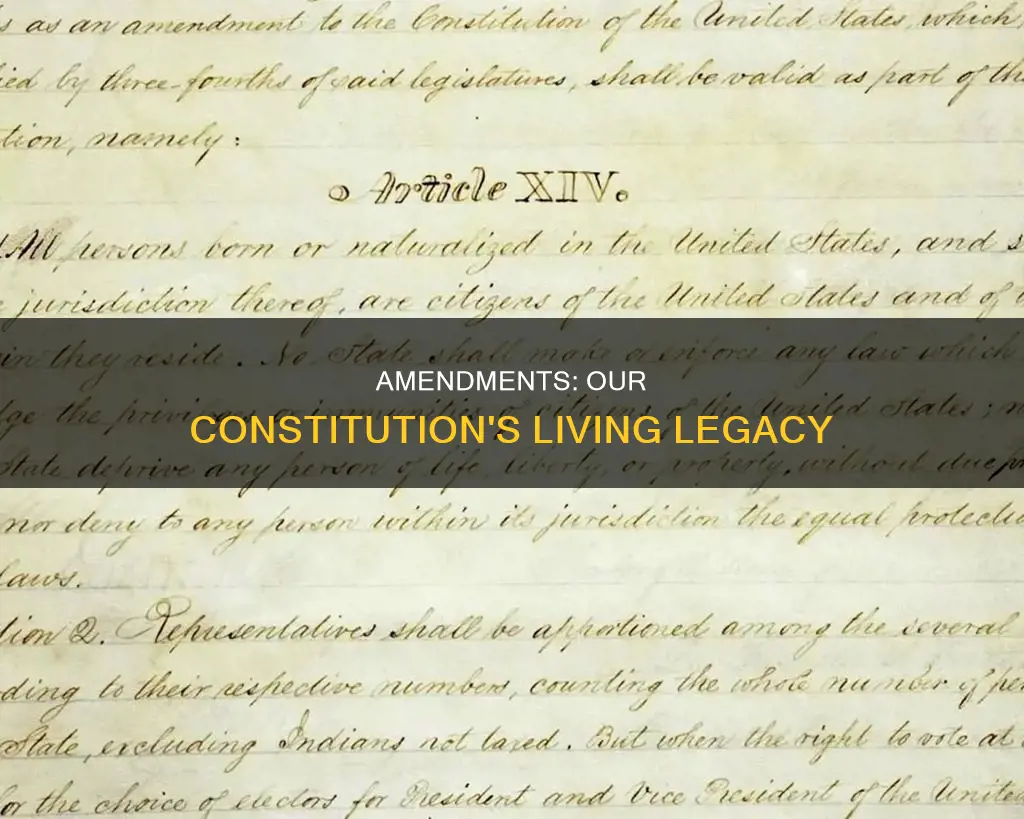 which amendment in the constitution