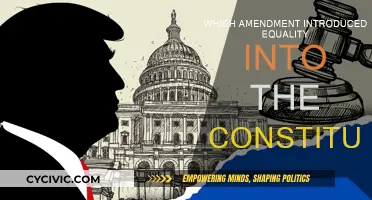 Equality's Constitutional Birth: Amendments' Impact