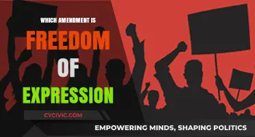 Freedom of Expression: The First Amendment Explored
