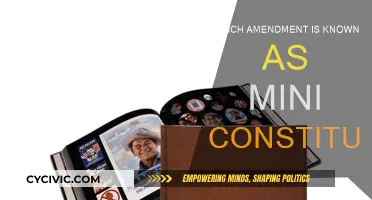 The Mini Constitution: A Powerful Amendment