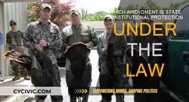 Constitutional Equality: State Protections Under the 14th Amendment