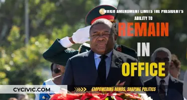 The President's Term Limit: An Amendment's Power