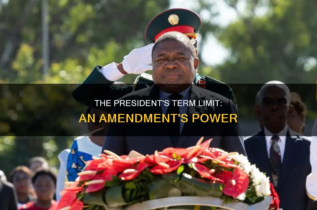 which amendment limits the president