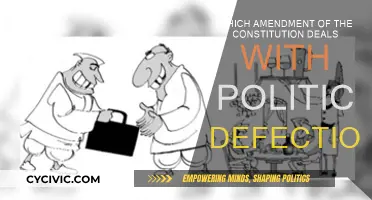 Anti-Defection Laws: Constitutional Amendment for Political Stability