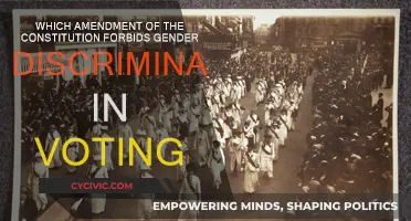 The Constitution's Amendment: Gender Equality in Voting