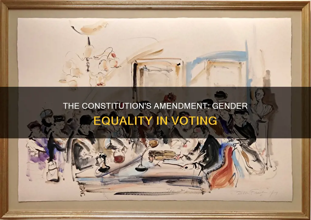 which amendment of the constitution forbids gender discrimination in voting